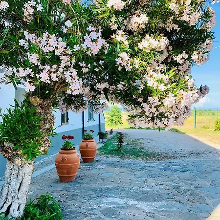 Podere San Sebastiano *