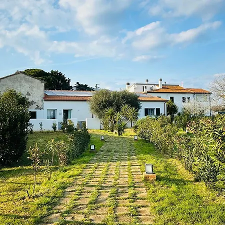 Podere San Sebastiano Apartament