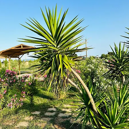 Podere San Sebastiano Apartamento